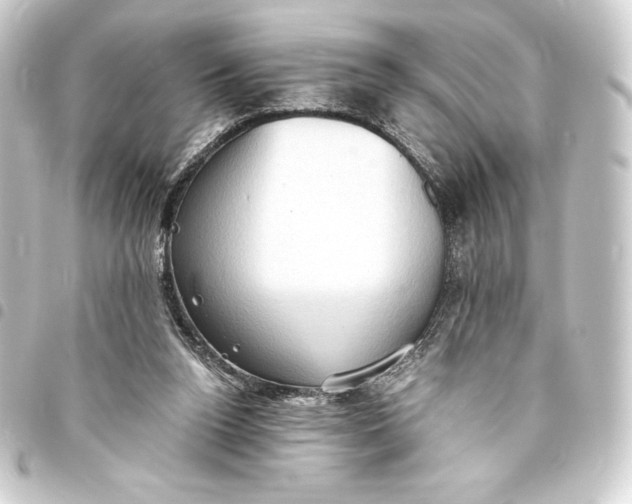 X0000093410160200711021002