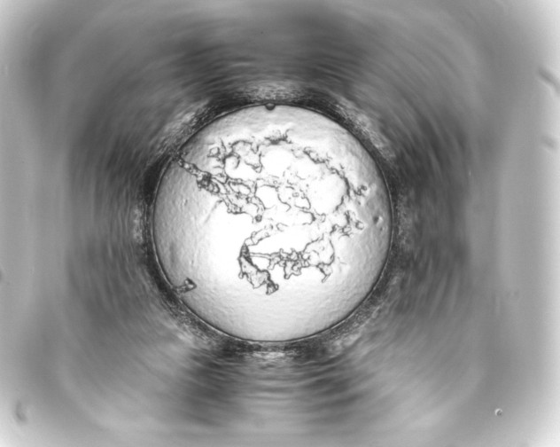 X0000093410161200711021002