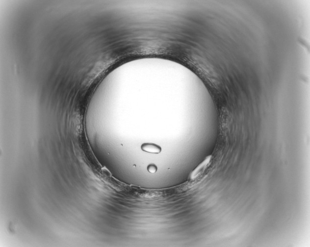 X0000093410164200711021002