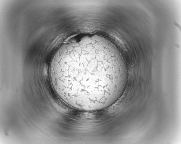 X0000093410166200711021002