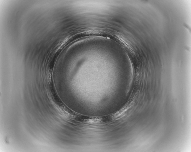 X0000093410168200711021002