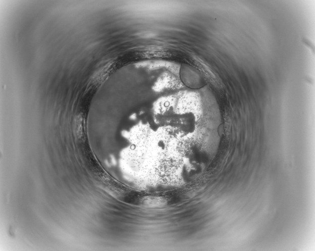 X0000093410169200711021002