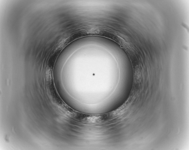 X0000093410172200711021002