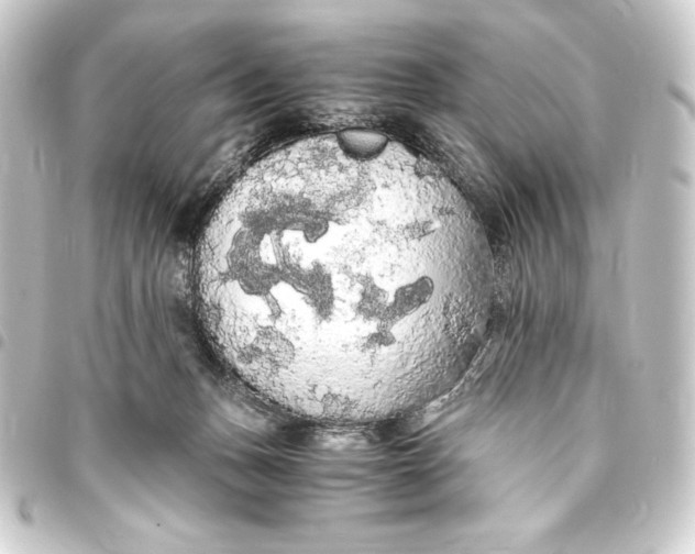 X0000093410175200711021002