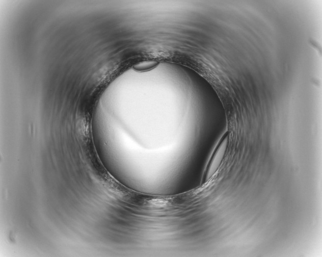 X0000093410176200711021002