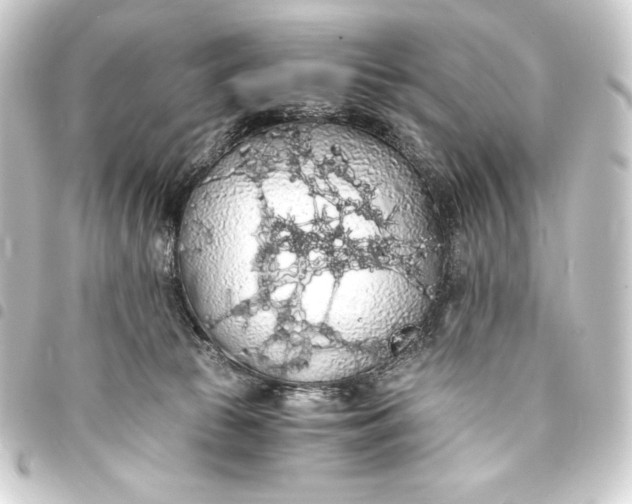 X0000093410177200711021002