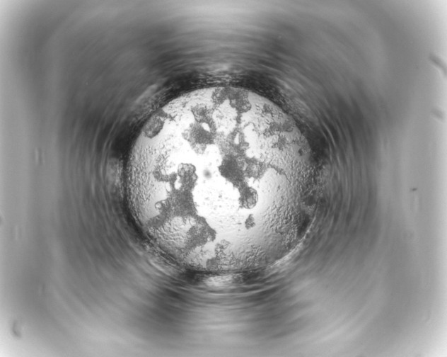 X0000093410178200711021002