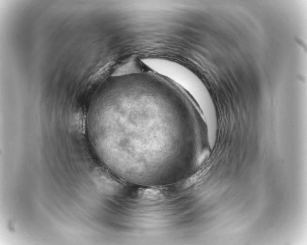 X0000093410180200711021002