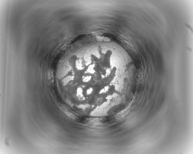 X0000093410182200711021002