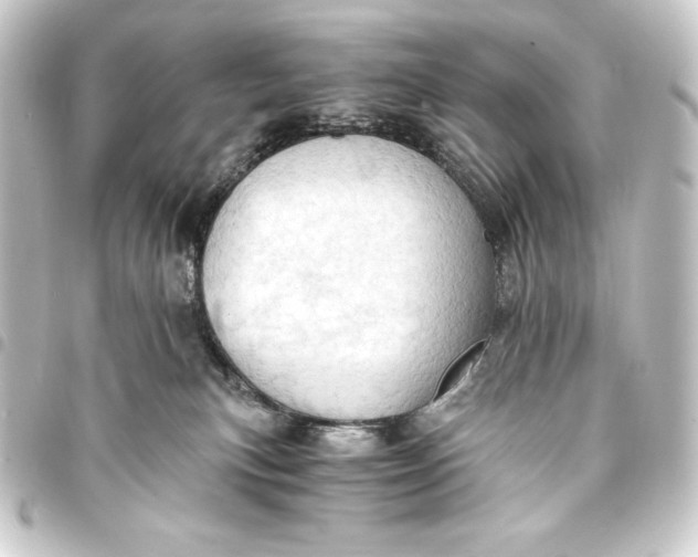 X0000093410183200711021002