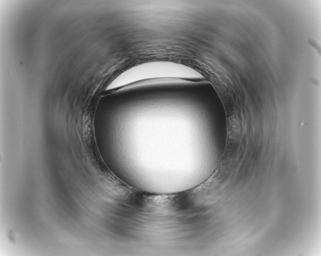 X0000093410184200711021002