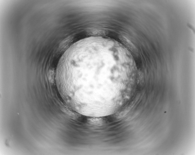 X0000093410189200711021002