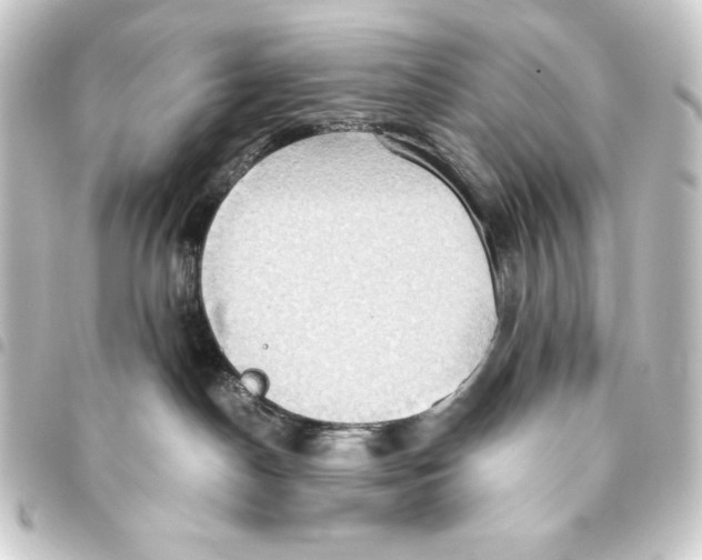 X0000093410190200711021002