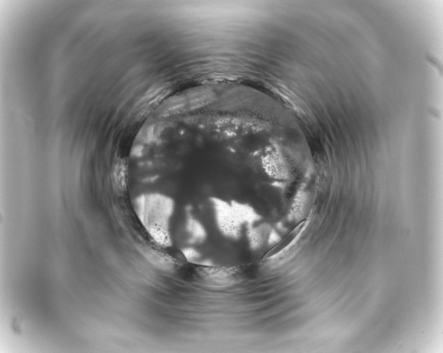 X0000093410191200711021002