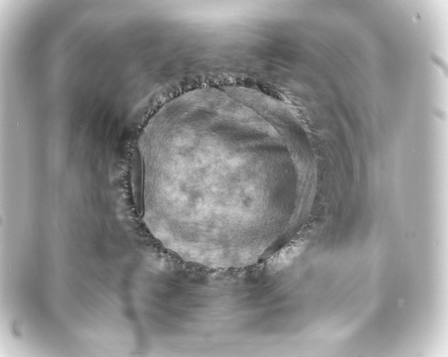 X0000093410192200711021002