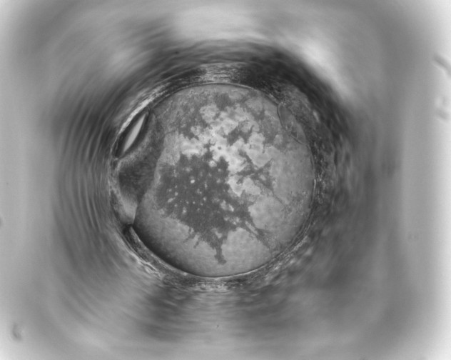 X0000093410194200711021002