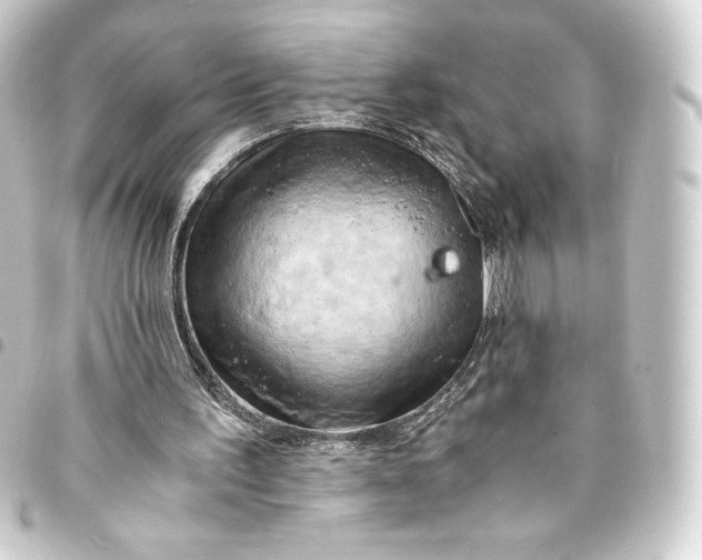 X0000093410195200711021002