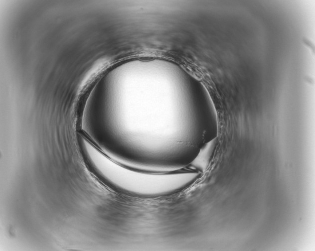 X0000093410197200711021002