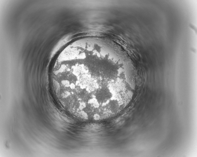 X0000093410198200711021002