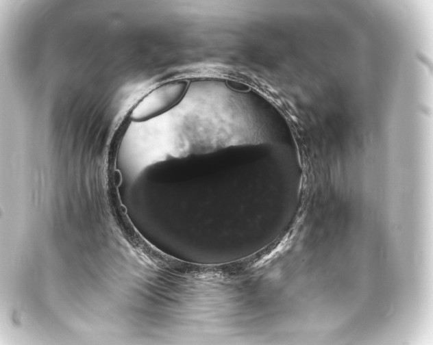 X0000093410200200711021002