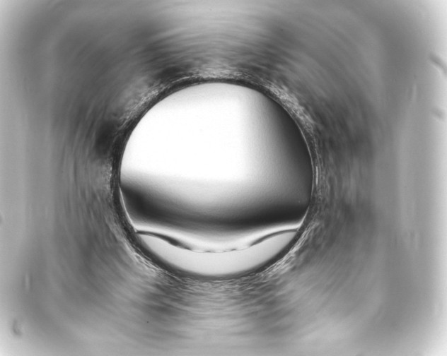 X0000093410201200711021002