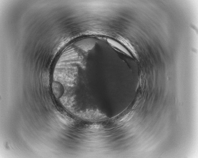 X0000093410204200711021002