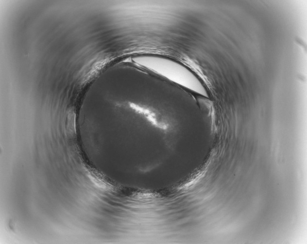 X0000093410205200711021002