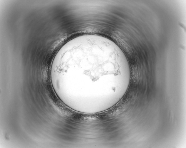 X0000093410208200711021002