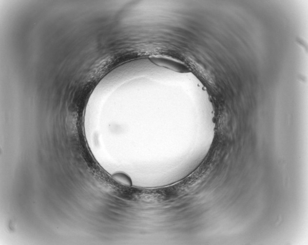 X0000093410209200711021002