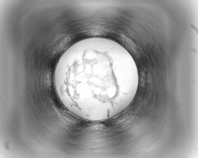 X0000093410210200711021002