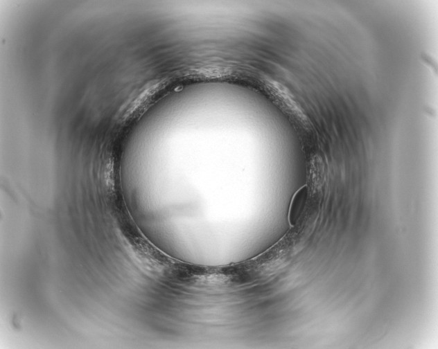 X0000093410212200711021002