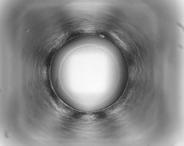 X0000093410213200711021002