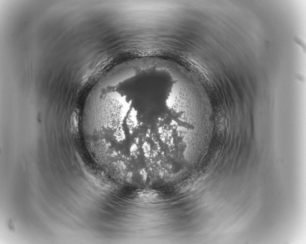 X0000093410214200711021002