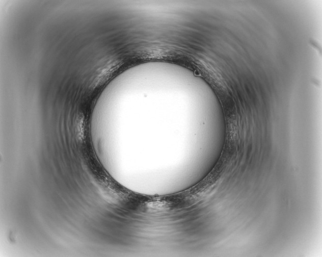 X0000093410216200711021002