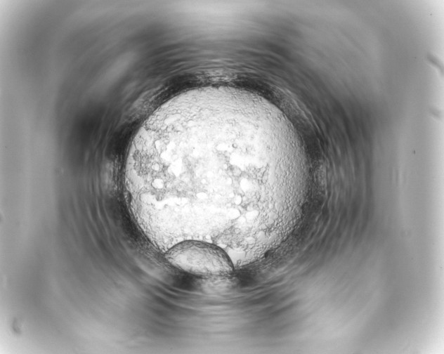 X0000093410218200711021002