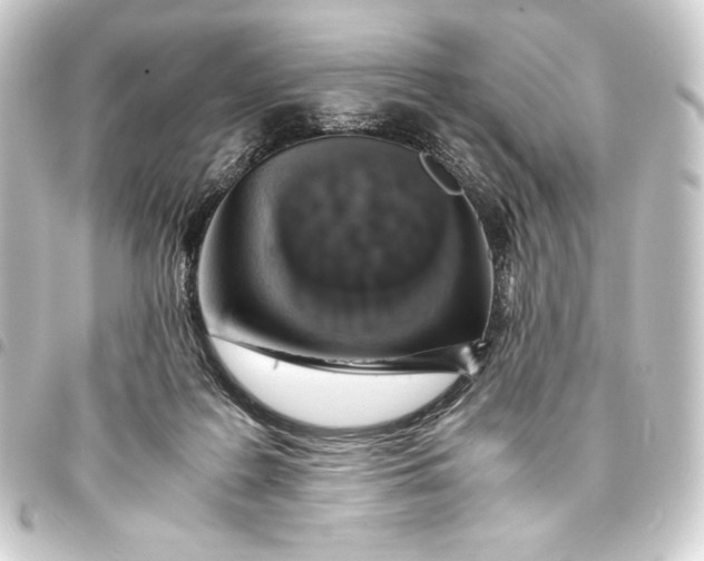 X0000093410219200711021002