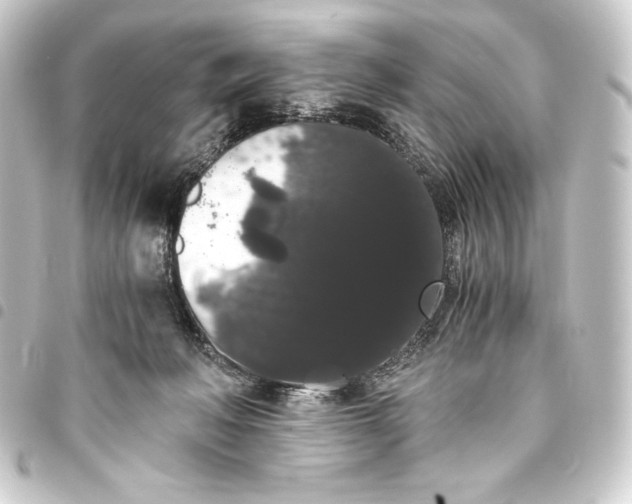 X0000093410222200711021001