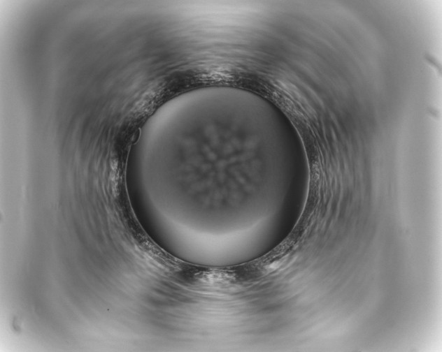 X0000093410223200711021001