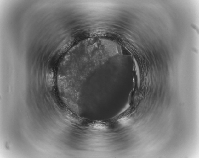 X0000093410224200711021001