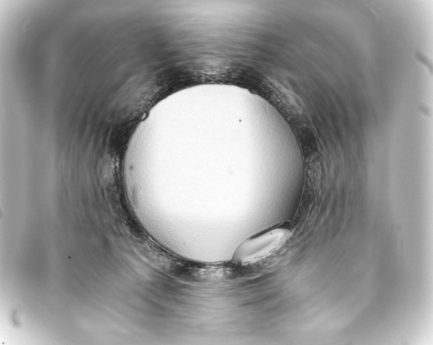 X0000093410225200711021001