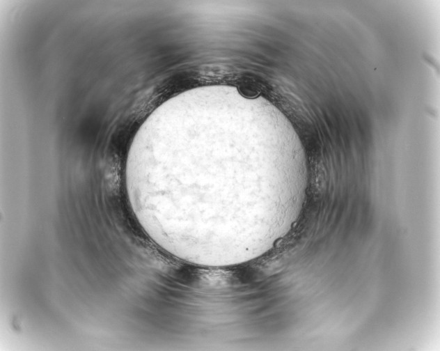 X0000093410226200711021001