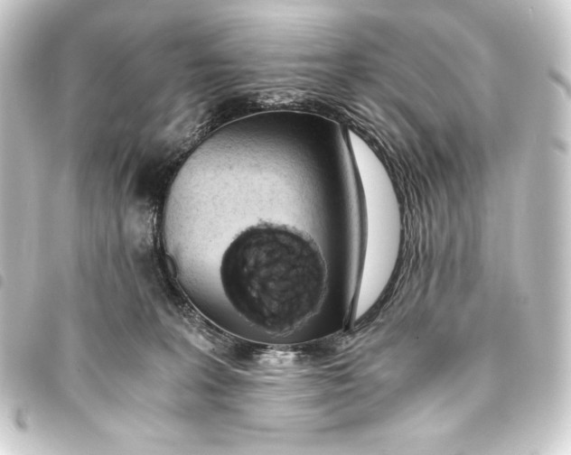 X0000093410227200711021001