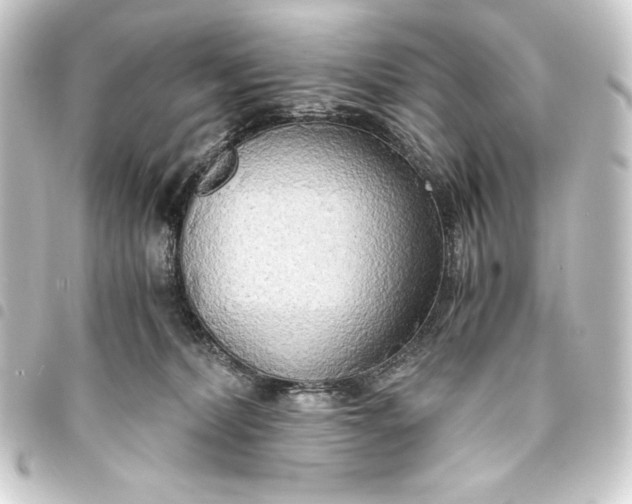 X0000093410228200711021001