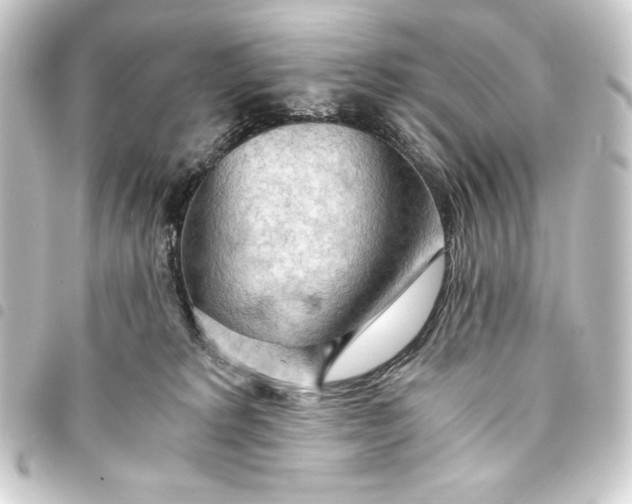 X0000093410229200711021001