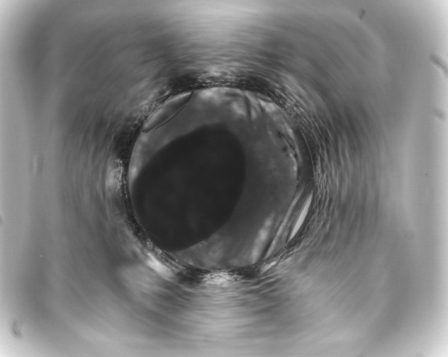 X0000093410231200711021001