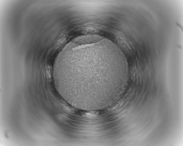 X0000093410232200711021001