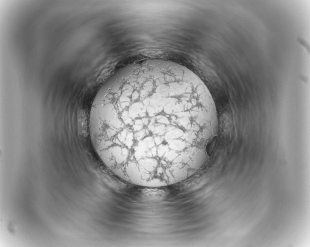 X0000093410234200711021001