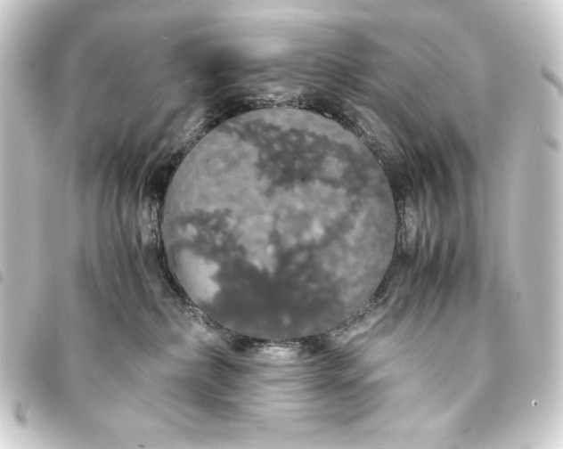 X0000093410236200711021001