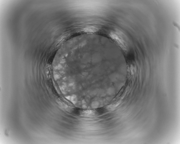 X0000093410237200711021001