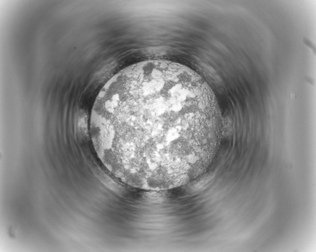 X0000093410238200711021001